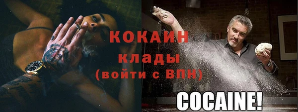 мдпв Верея