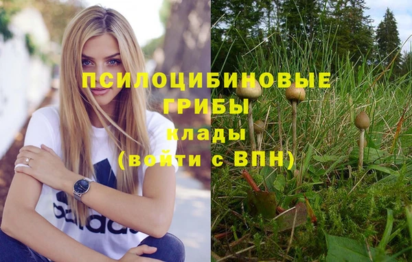 синтетический гашиш Верхний Тагил