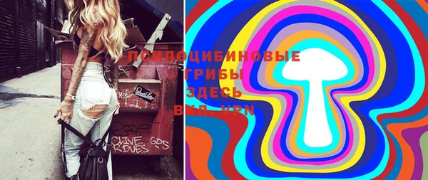 синтетический гашиш Верхний Тагил