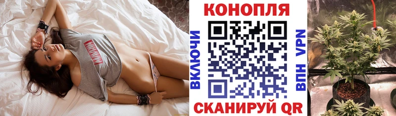 Каннабис сатива Екатеринбург